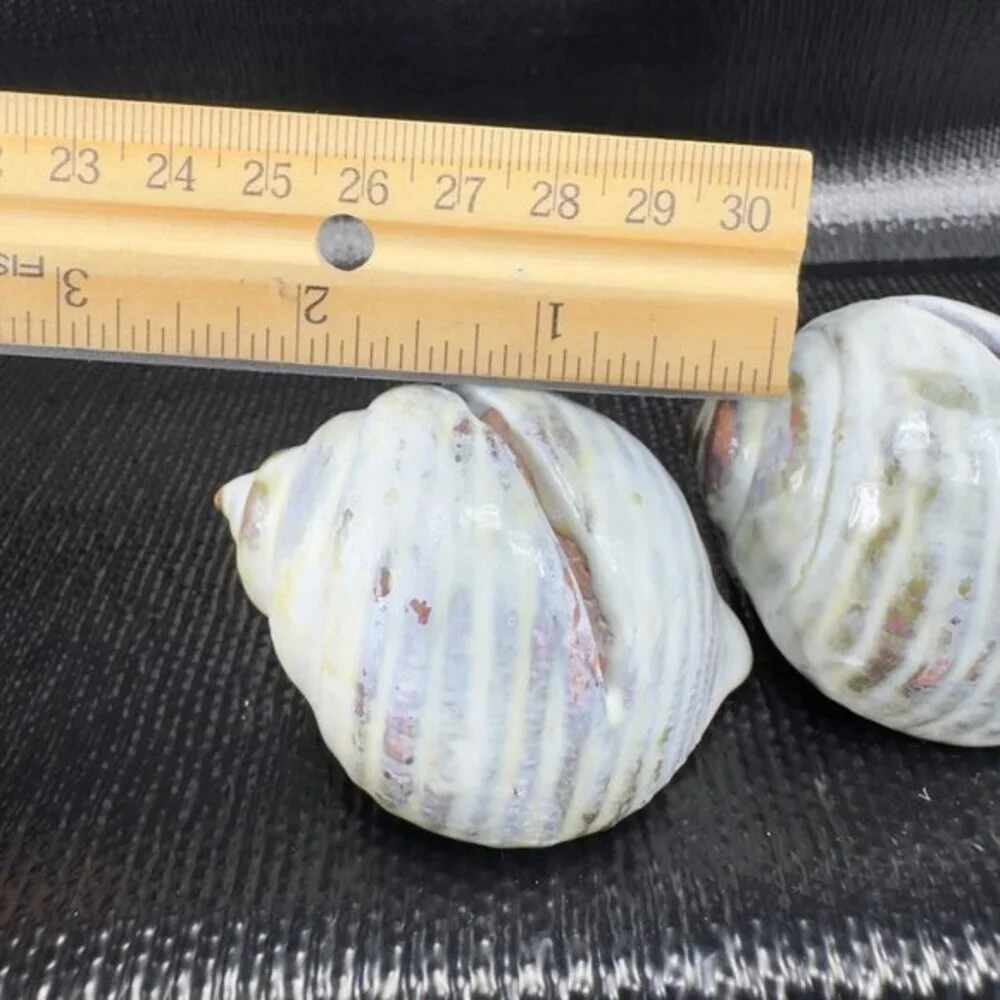 Hand Made Card Holder Stoneware Shell Conch Set 2 Decorative Hand Crafted Figure